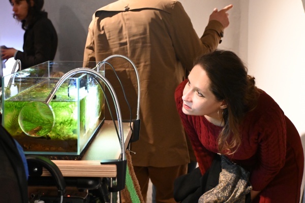 symbiots symphony, 2025