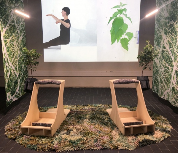 vertimus, 2019