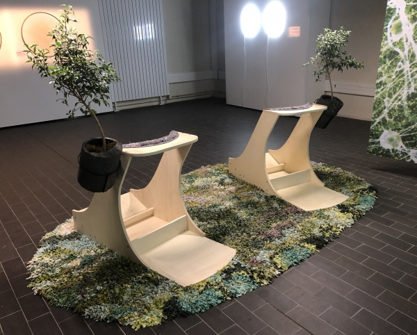 vertimus, 2019