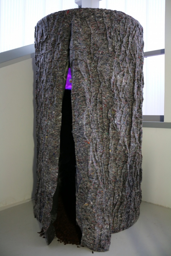 dendromacy, film and cabin, 2017