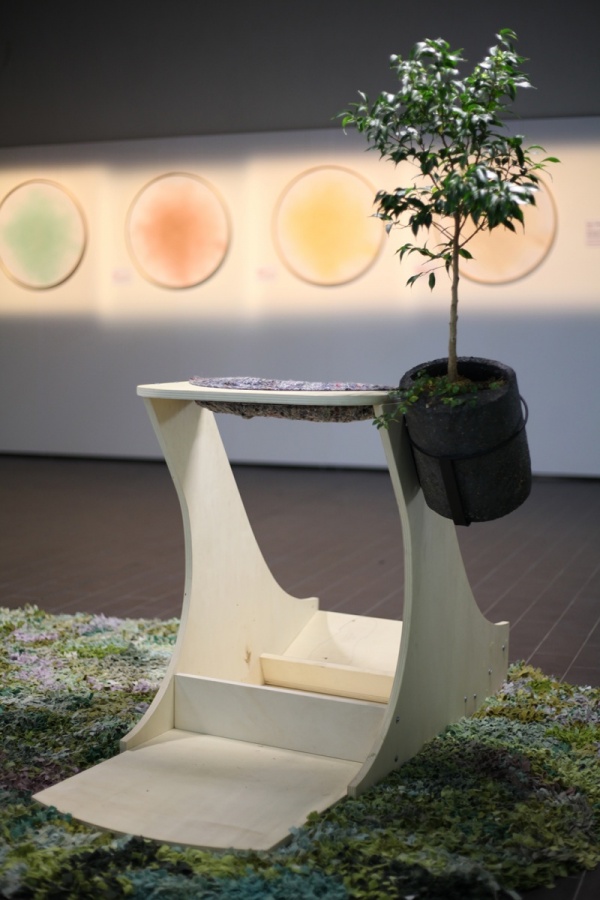 vertimus, 2019
