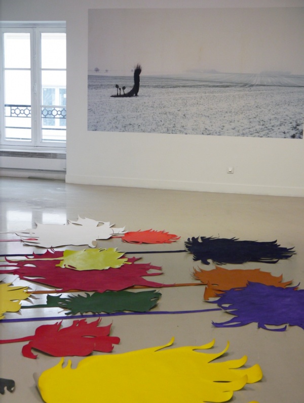 explorer-wicker, 2011