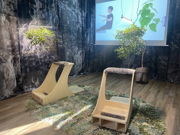 vertimus, 2019