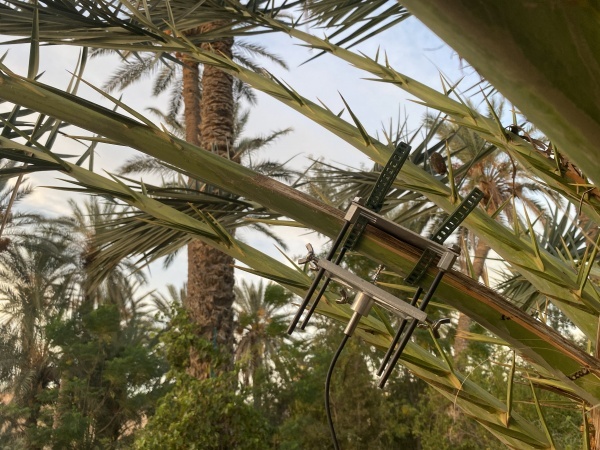est-ce que les arbres rêvent de CO2 ? Depuis 2022