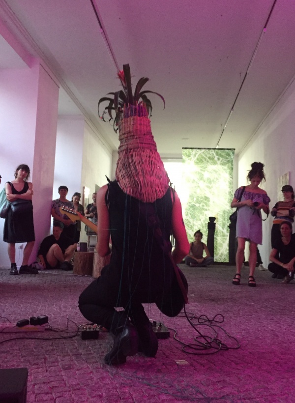 guzmania, 2019