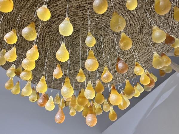 larmes de pollen, 2024