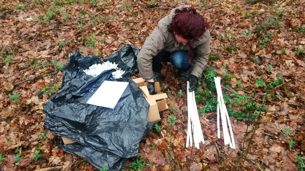 Dendromité, respirer avec l&#039;arbre