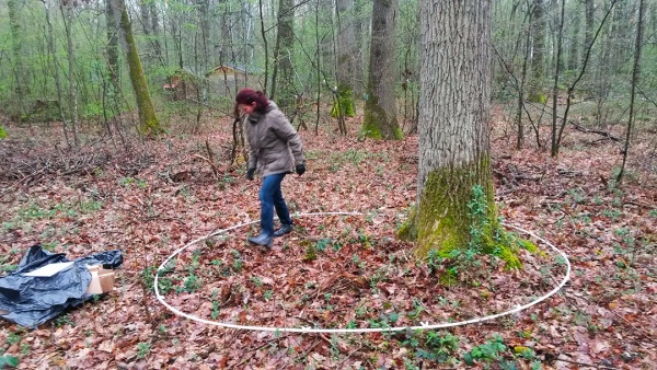 Dendromité, respirer avec l&#039;arbre