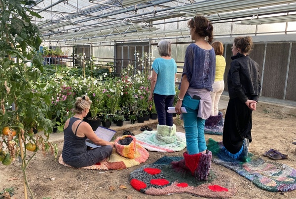 planting yourself with plants, 2019