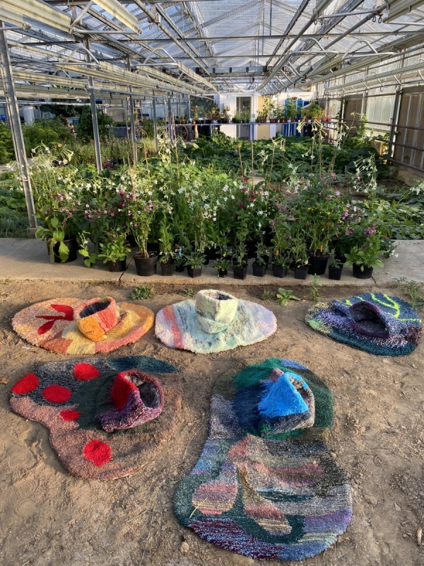 planting yourself with plants, 2019