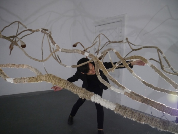 dendromité-Berlin 2015