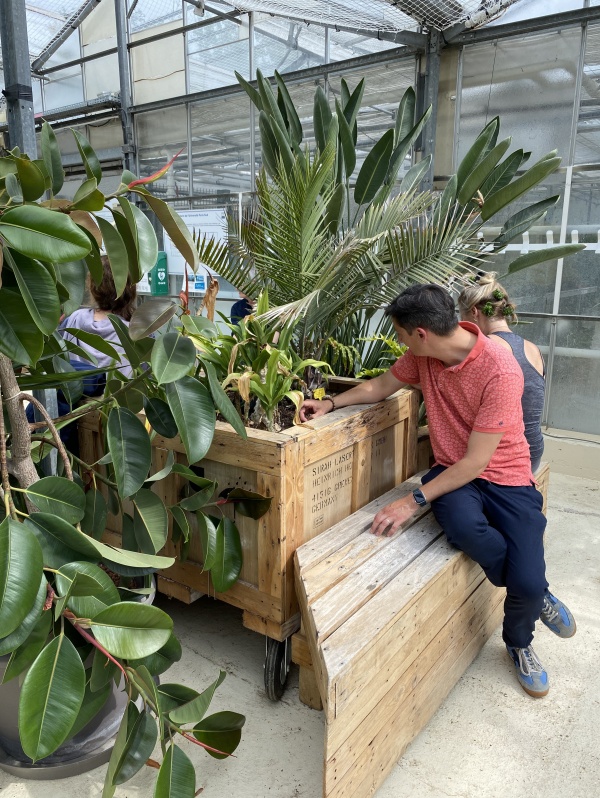 botanical portraits, since 2015