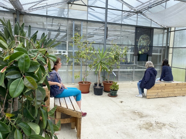 botanical portraits, since 2015