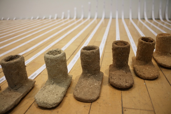 Fifty shades of soil