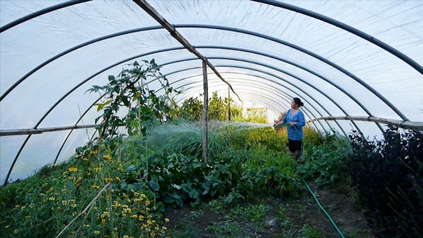 Mobile Gardens