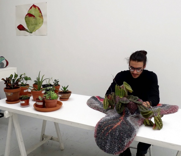 planting yourself with plants, 2019