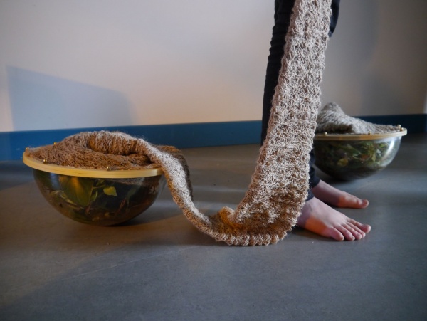 tropiques domestiques, 2014